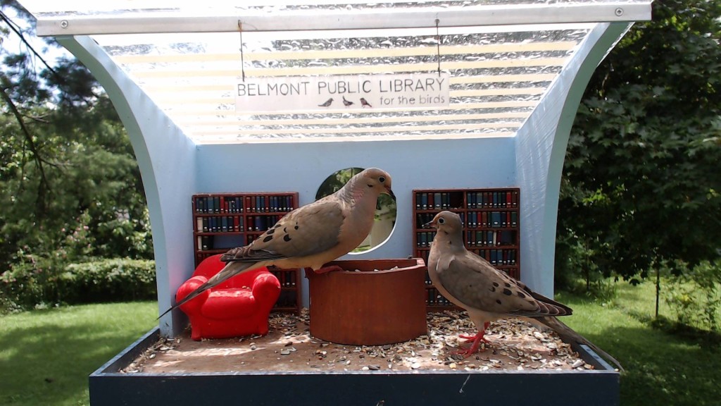 library-birdhouse
